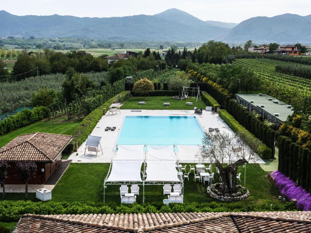 an aerial view of a villa with a pool in a vineyard at Tenute del Gheppio in Dugenta