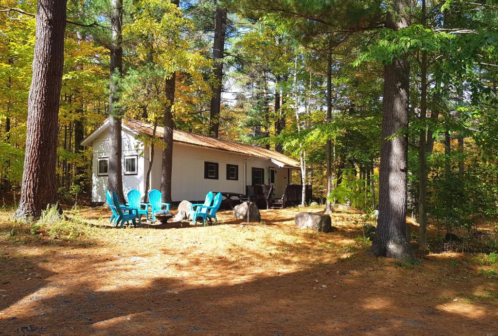 a cabin in the woods with blue chairs in front of it at The Aspen Cabin in Wilmington