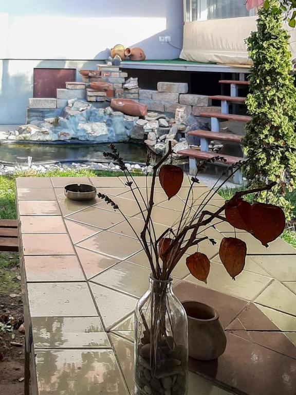 Zahrada ubytování Apartman Hakuna Matata
