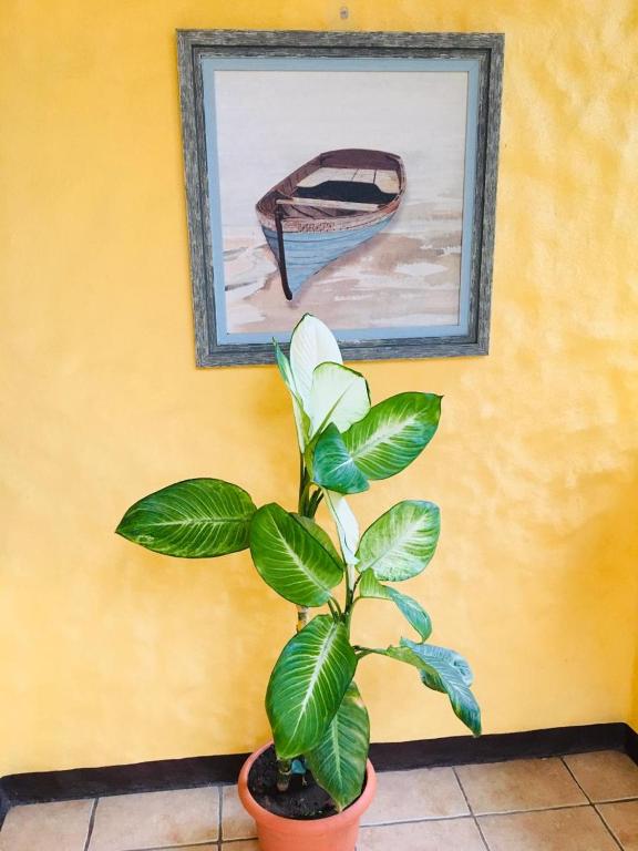 Fotografie z fotogalerie ubytování Hotel Casa Esmeralda v destinaci Sámara
