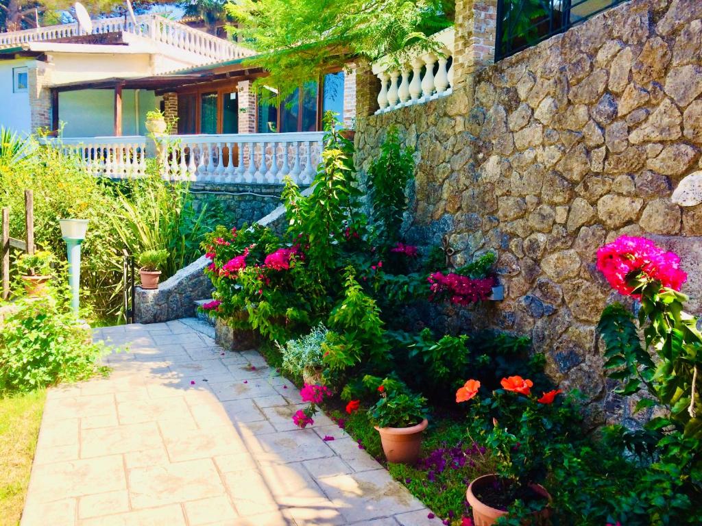 Zahrada ubytování Ermones Amber Villa