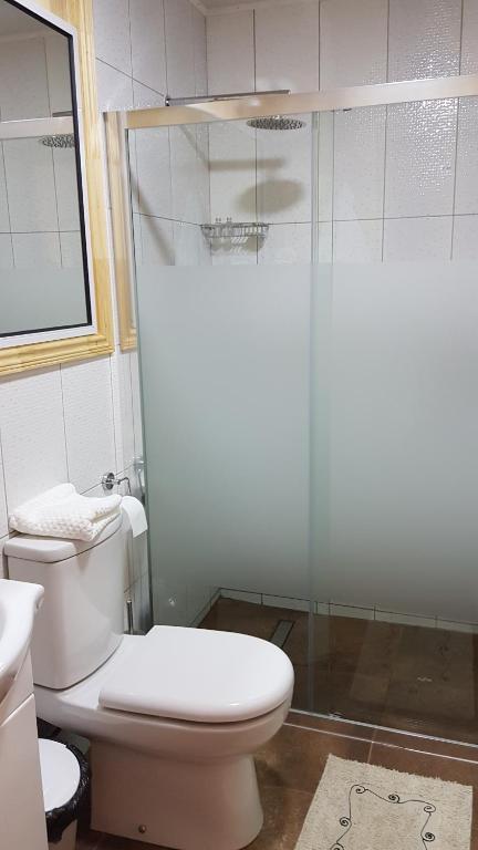 a bathroom with a toilet and a shower at Hotel y Cabañas Terrazas Vista al Mar hct in Ancud