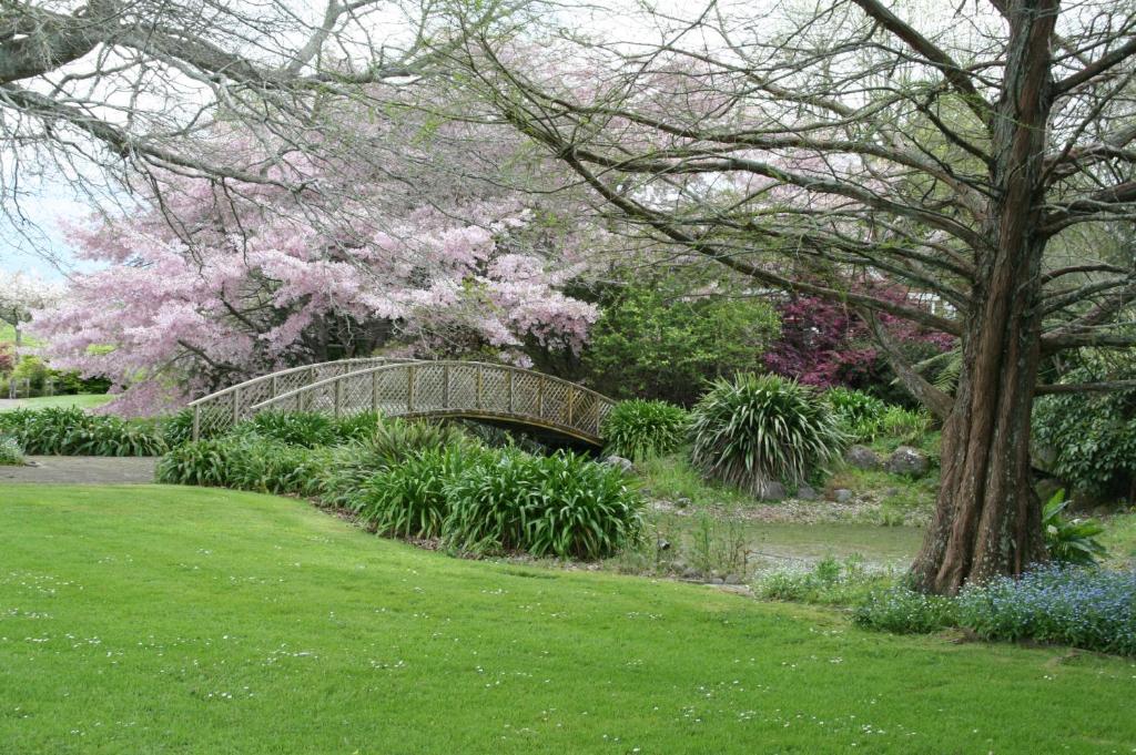 a bridge in a garden with pink flowers at Bridgehaven Guesthouse in Okoroire