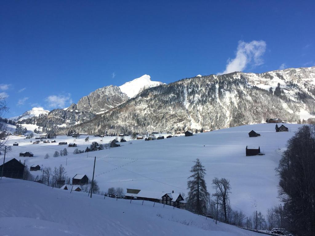 Ferienwohnung Haus am Bach in Toggenburg v zimě