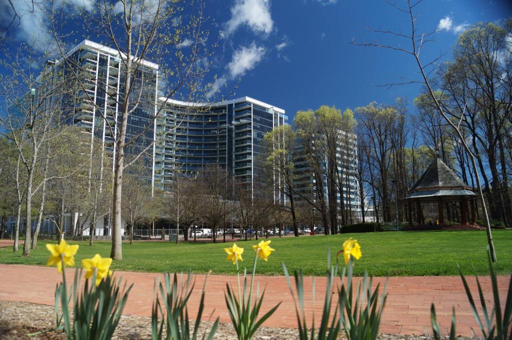 a park with yellow flowers in front of a building at Manhattan on Glebe Park in Canberra