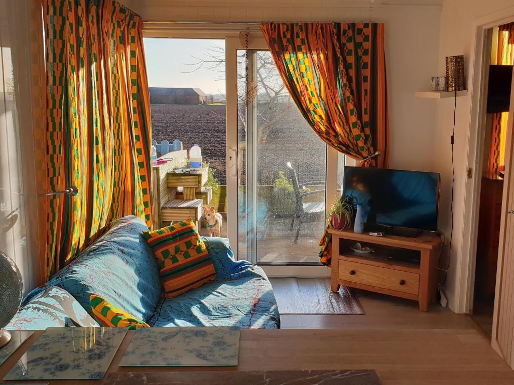 TV a/nebo společenská místnost v ubytování Bridlington's Bolt Hole chalet