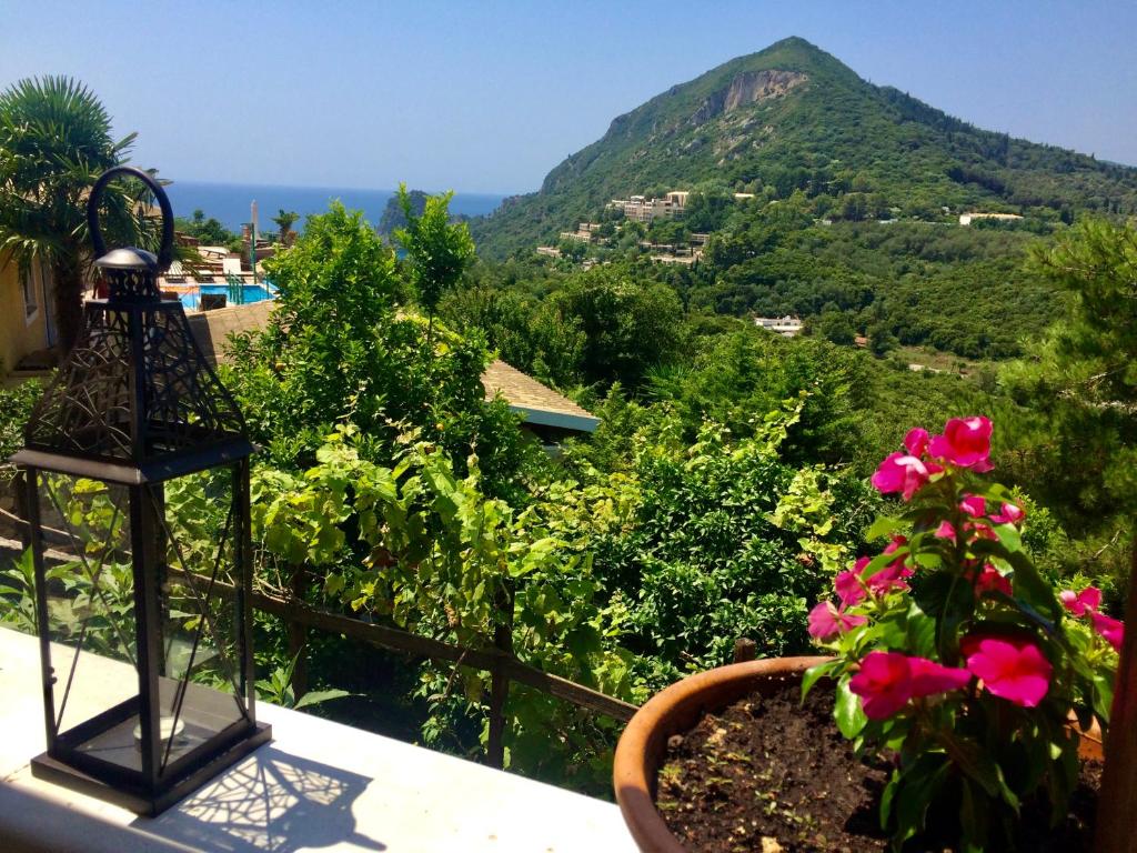Táj Show holiday homes közelében