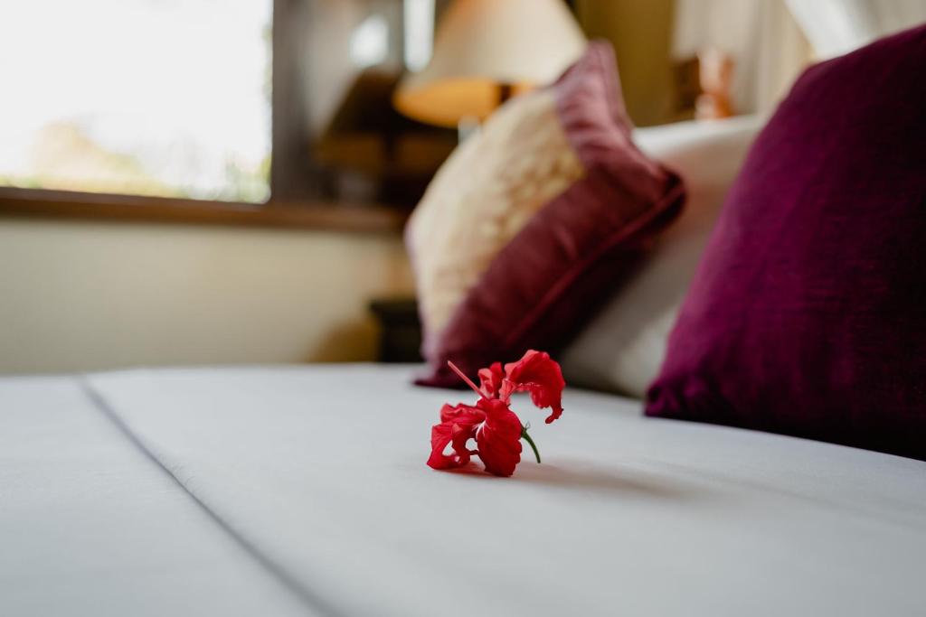 Kebun Indah Ubud - 18