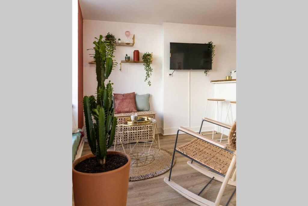 - un salon avec une plante et un canapé dans l'établissement Appartement chaleureux en centre-ville de Caen, à Caen