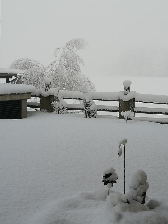 Pension Lärchenbrunn during the winter
