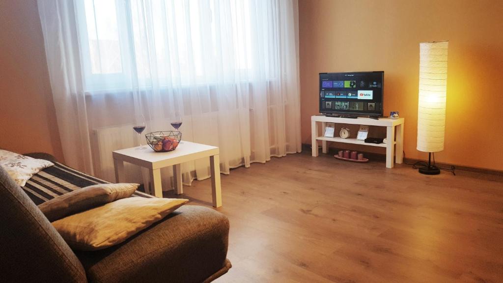 a living room with a couch and a tv at Birch view apartment in Jelgava