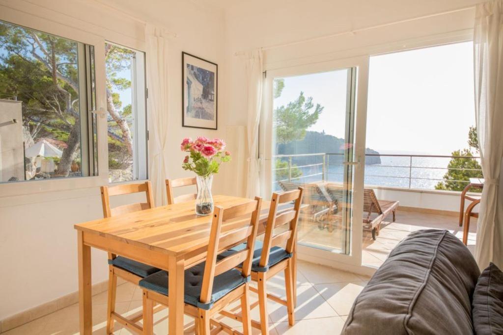 Příroda nedaleko apartmánu