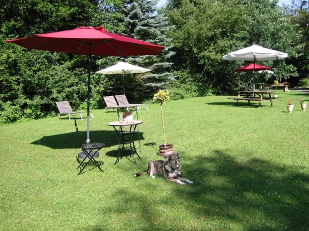 Zahrada ubytování Haus 2 - Typ C (kombiniert)