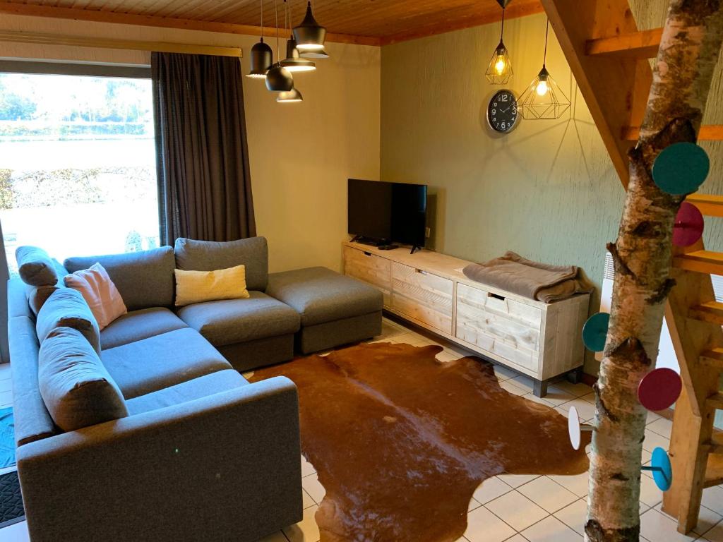 un soggiorno con divano e TV di Maison du Pêcheur a Vielsalm