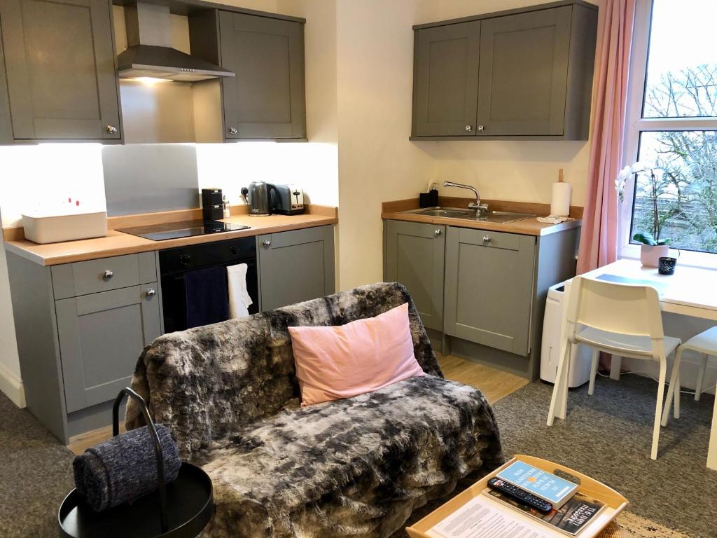ein Wohnzimmer mit einem Sofa und einer Küche in der Unterkunft Cosy centrally located one bedroom flat in Bath