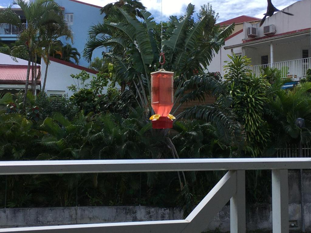 Zahrada ubytování Le COLIBRI