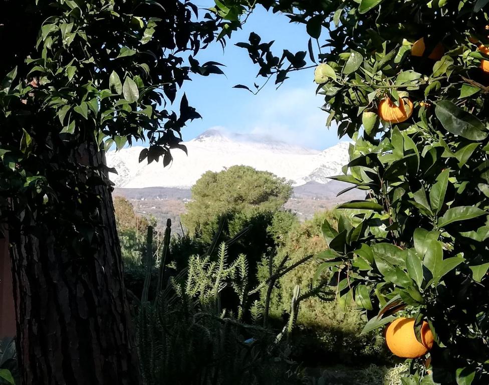 Foto dalla galleria di ETNA MARE Jonio a Giarre