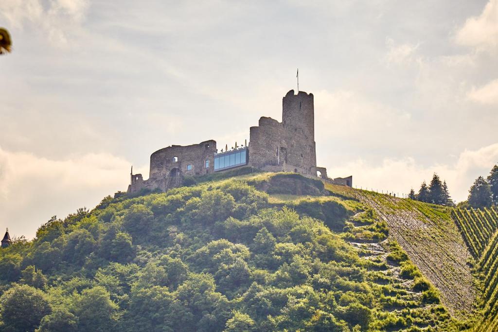 a castle on top of a hill with trees at Ferienwohnung Bella Vista Premium Appartement in Bernkastel-Kues