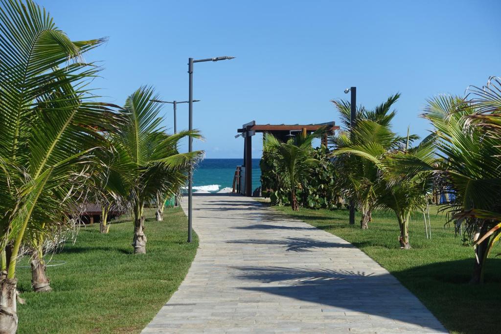 una acera con palmeras al lado de una playa en Flat Praia do Cupê - Porto de Galinhas, en Porto de Galinhas