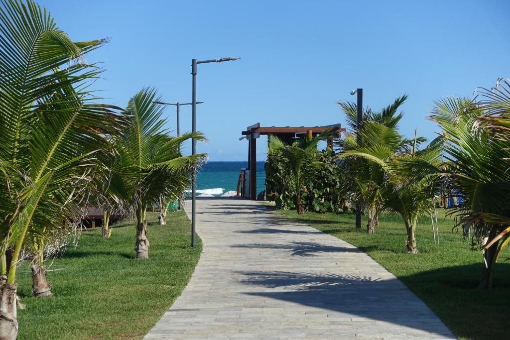 a sidewalk with palm trees on the side of a beach at Flat Praia do Cupê - Porto de Galinhas in Porto De Galinhas