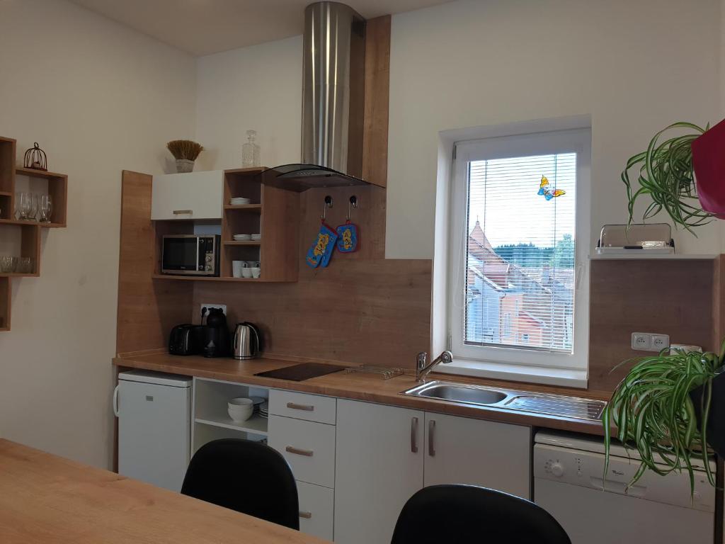 Kuchyň nebo kuchyňský kout v ubytování Penzion PIANO & Apartment Sokolov