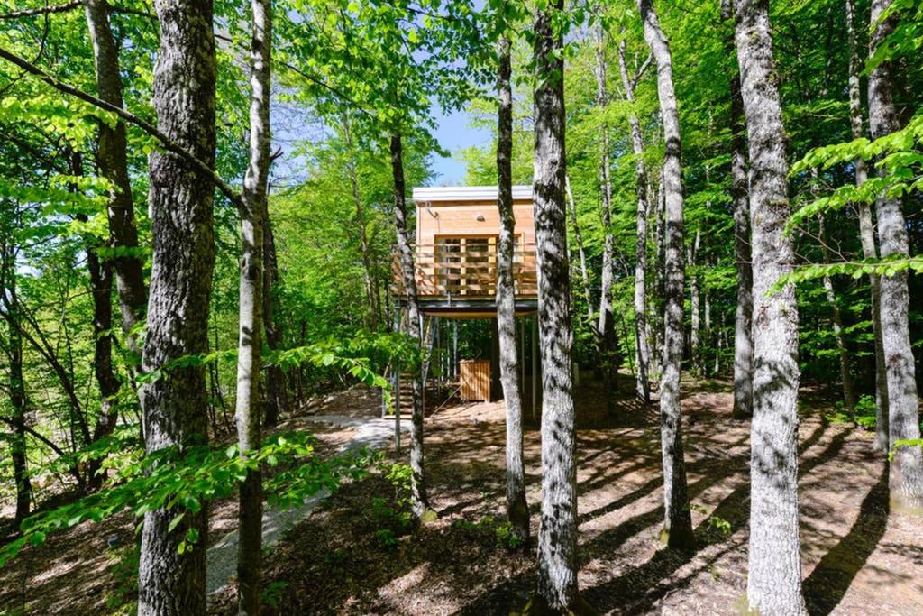 a tree house in the woods at Treehouse Lika1 in Gospić