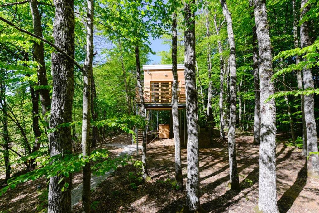 una casa sull'albero nel bosco di Treehouse Lika1 a Gospić