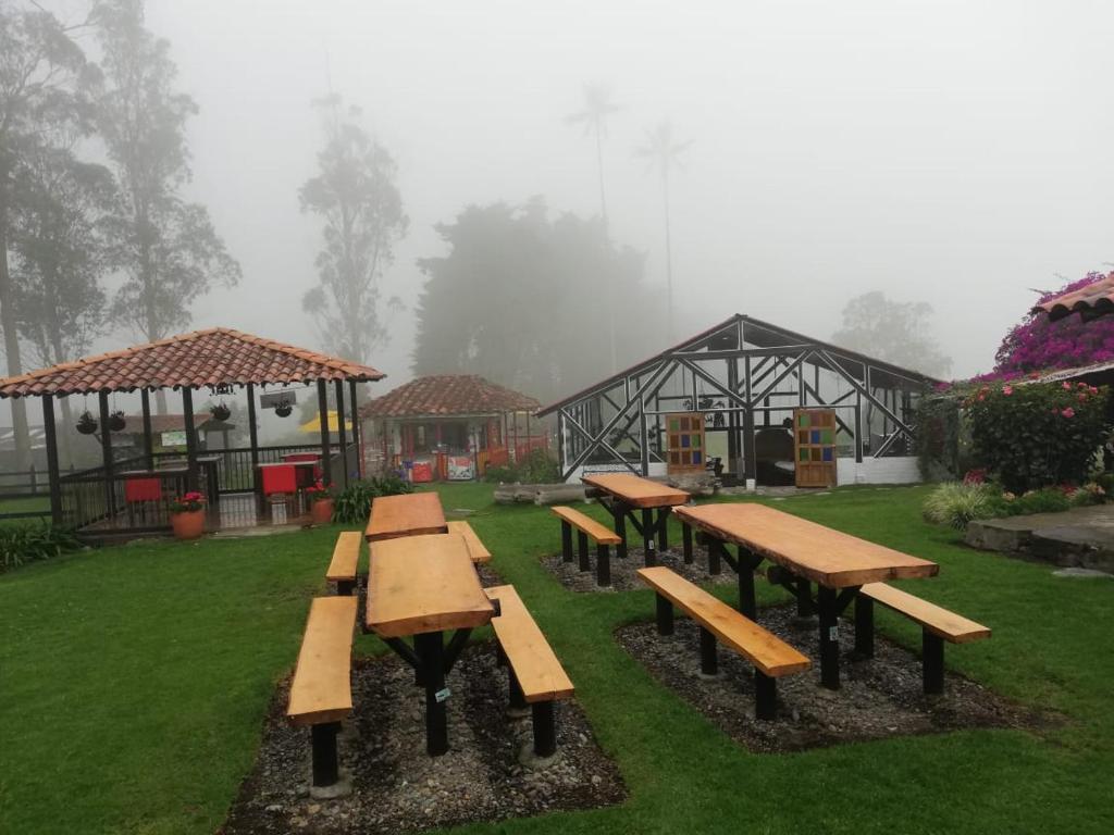a group of picnic tables in a park in the rain at Palmas de Cocora in Salento