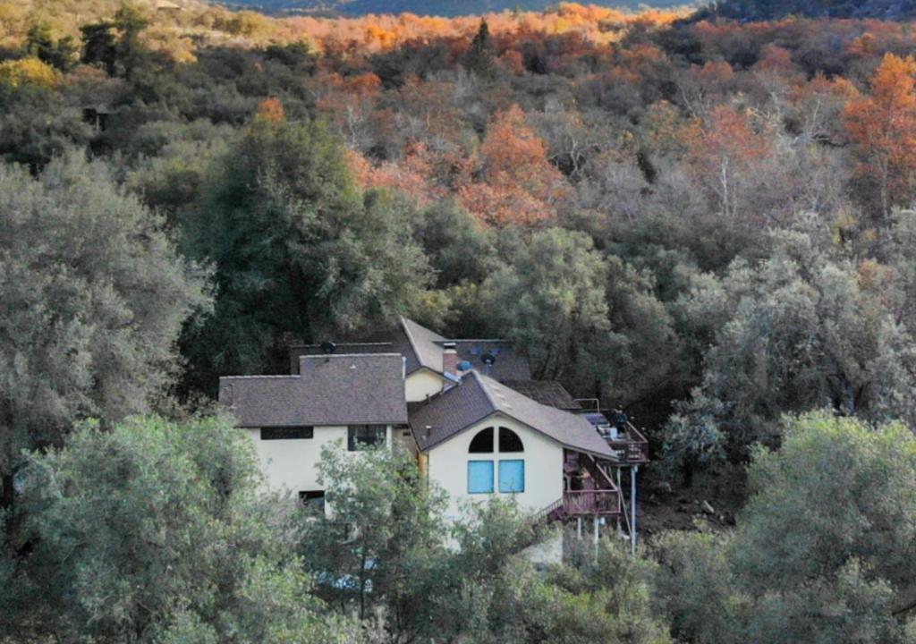 A bird's-eye view of Sequoia South Fork Retreat