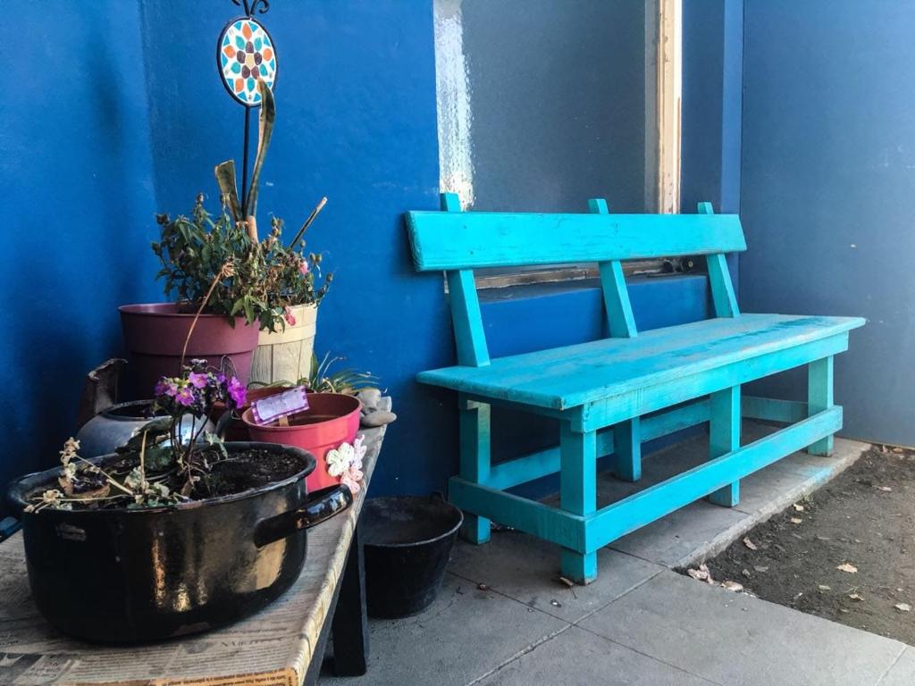 un banco azul sentado al lado de algunas macetas en Le Baobab en El Calafate