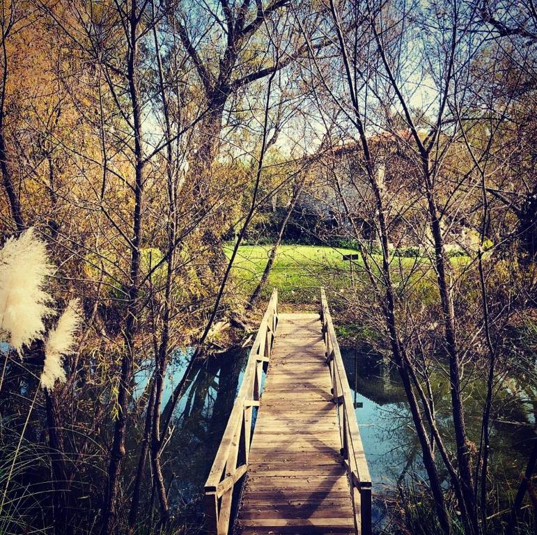 Příroda nedaleko hotelu