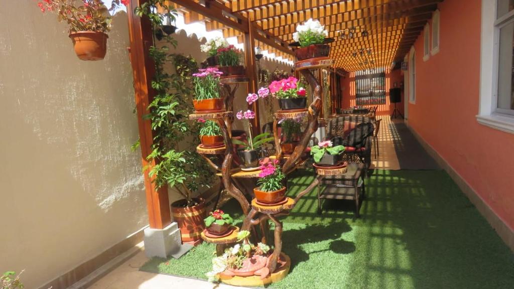 Zahrada ubytování Hotel Tababela Land