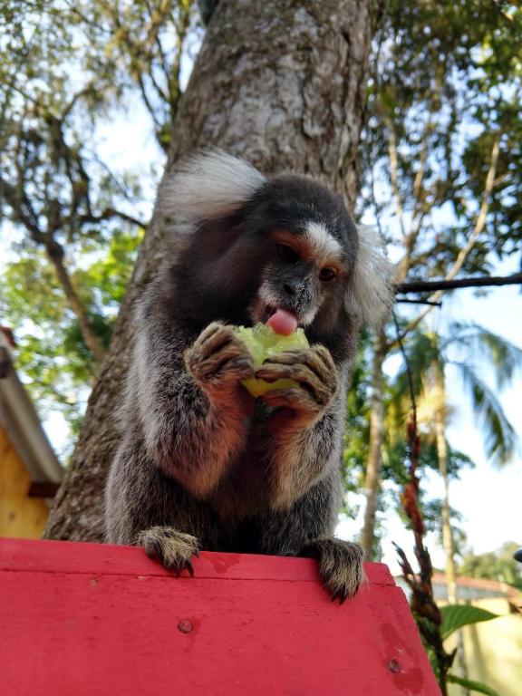  Pousada Toca do Robalo