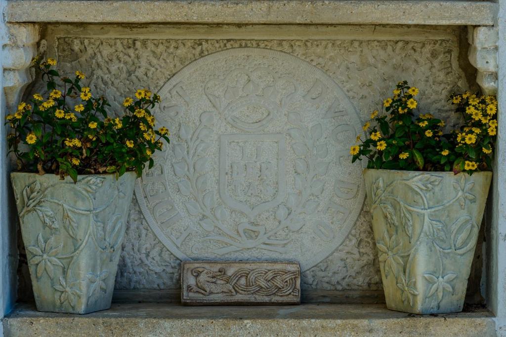 Fotografie z fotogalerie ubytování Villa Ida v Dubrovníku