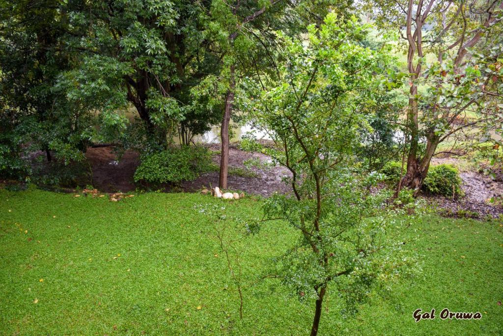 Zahrada ubytování Gal Oruwa Resort