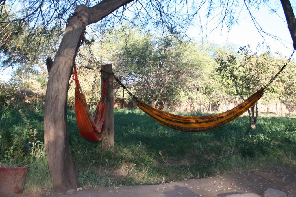 a hammock hanging from a tree in a park at Quinta Adela Bed & Breakfast in San Pedro de Atacama