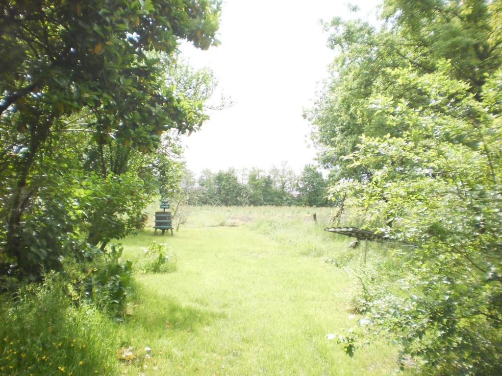 Zahrada ubytování Green Fields