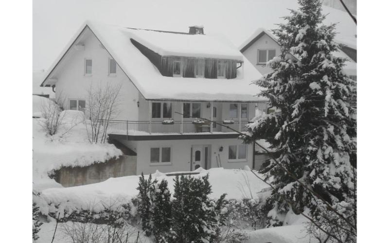 a house covered in snow with a christmas tree at Ferienwohnungen Sonnenpfad in Schmallenberg