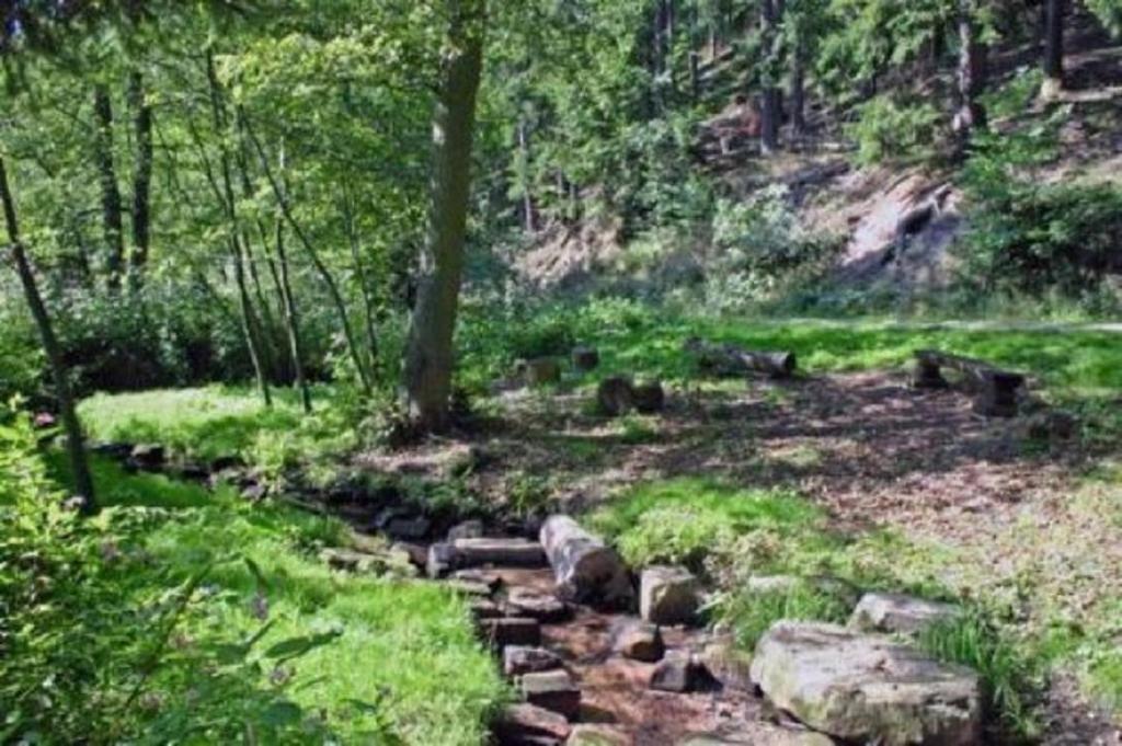 ein Steinweg mitten im Wald in der Unterkunft Type Scout 42 in Ronshausen
