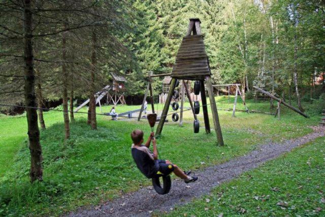 a boy on a tire swing in a park at Typ Dachsbau in Schmallenberg