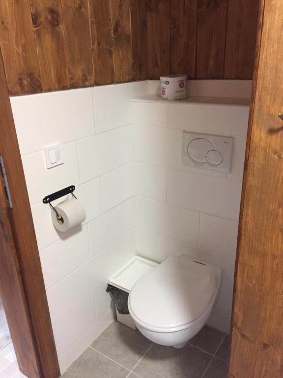 a bathroom with a white toilet and a roll of toilet paper at Chalupa u Josefa in Josefuv dul