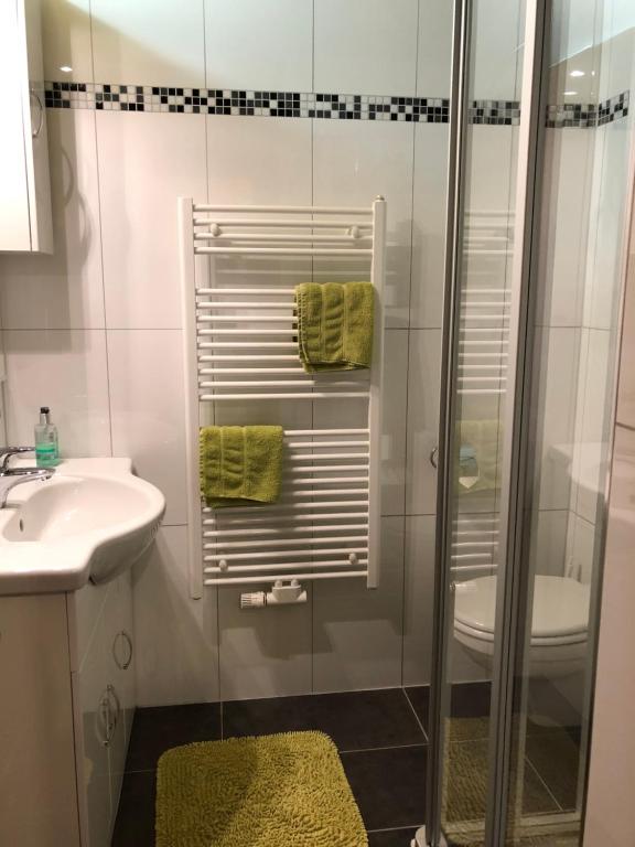 ein Bad mit einer Dusche und einem Waschbecken in der Unterkunft Ferienwohnung & Spa Renate in Sibratsgfäll