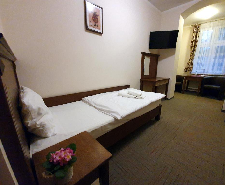 Pensjonat Leśniczówka - Standard Single Room