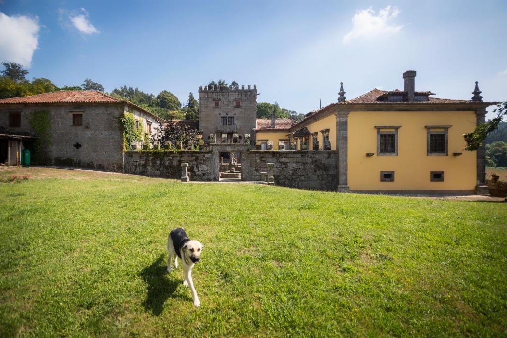 Domácí mazlíčci ubytovaní s hosty v ubytování Paço de S.Cipriano