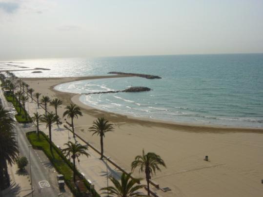 Blick auf einen Strand mit Palmen und das Meer in der Unterkunft Lovely seaside apartment in front of Calafell beach and Cunit beach in Segur de Calafell