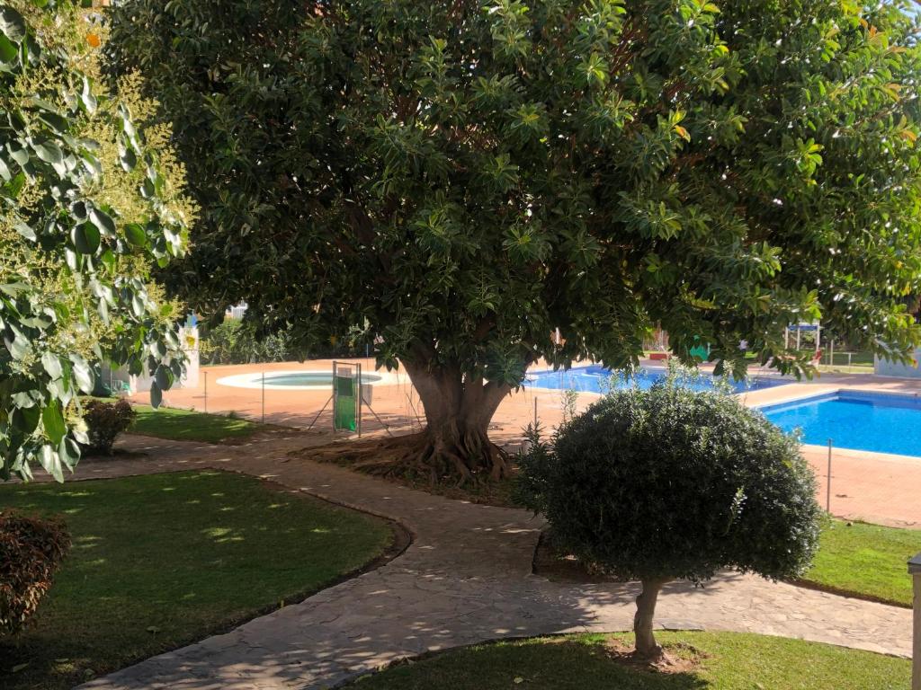 Estudio Vacacional Benalmadena Playa, Benalmádena – Precios ...