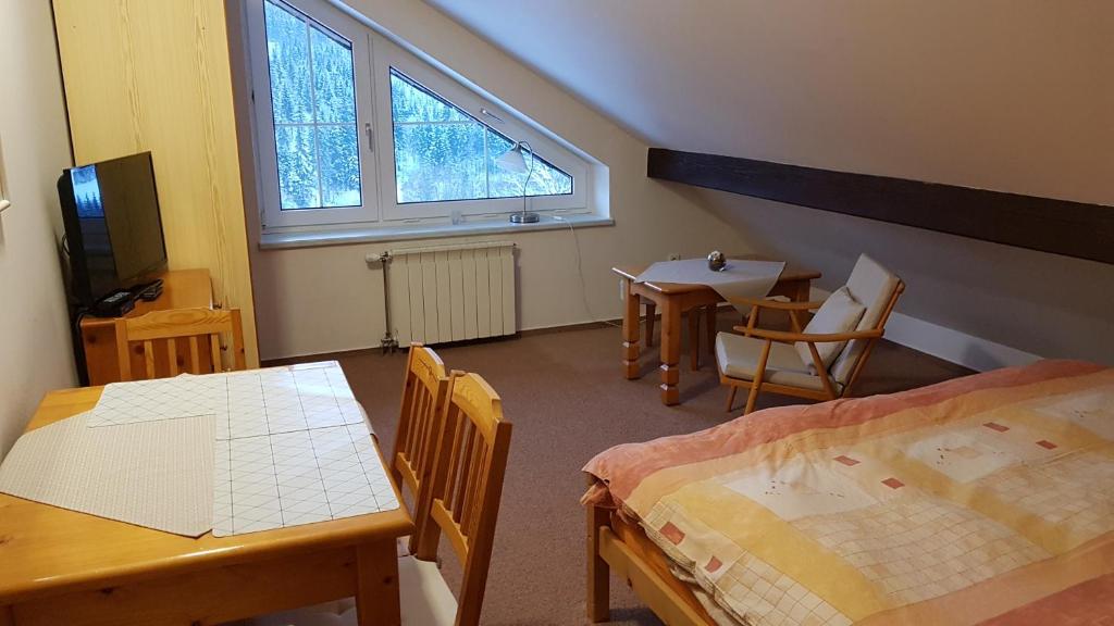 TV a/nebo společenská místnost v ubytování Pension Sport