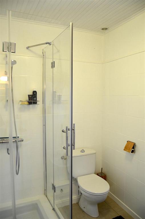 a bathroom with a toilet and a glass shower at Mas Mialou in Saint-Jean-du-Gard