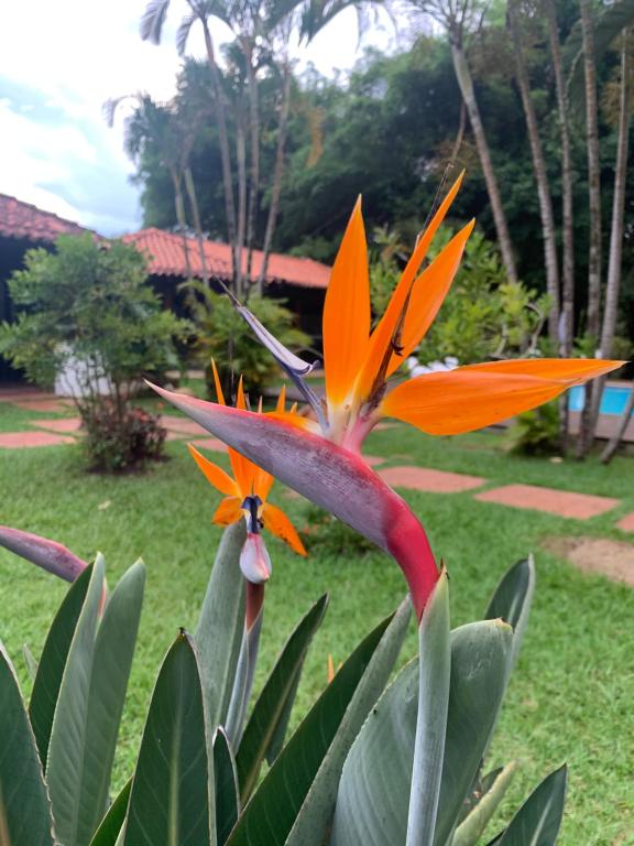  Pousada Villa Real