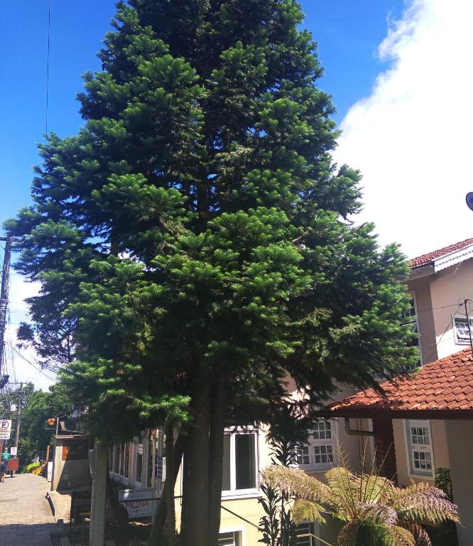 Gramado Guest House  Gramado Guest House